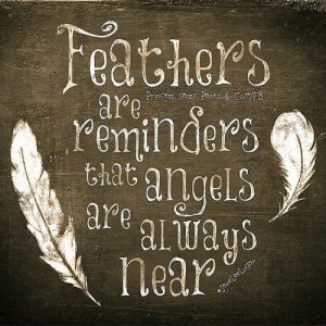 Feathers Are A Sweet Gift From Heaven Quote