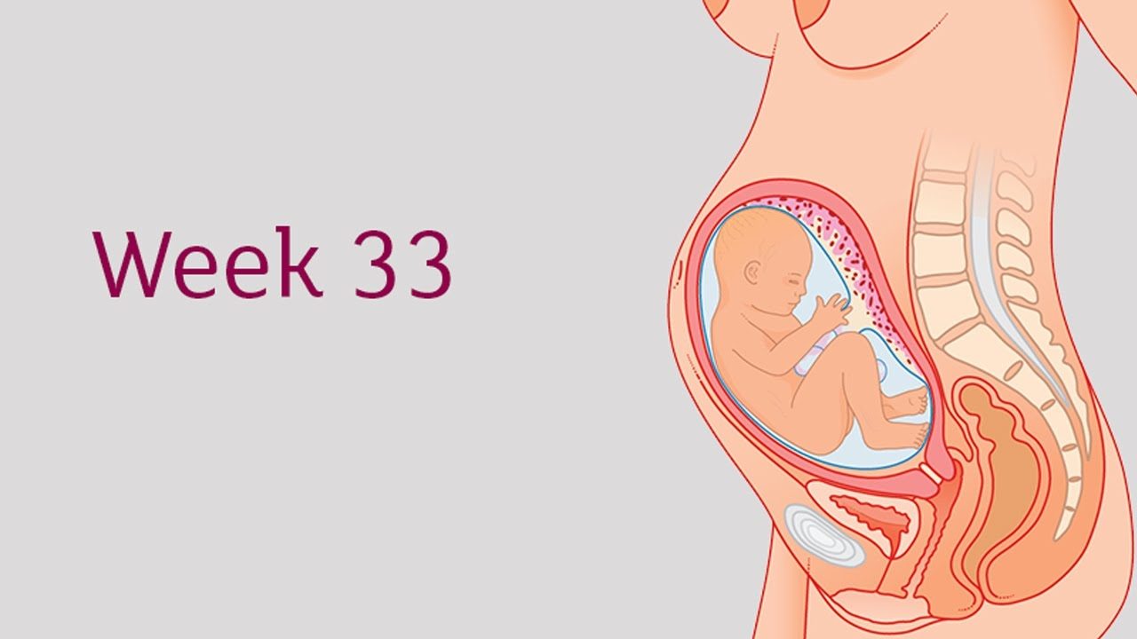33 Weeks Pregnant