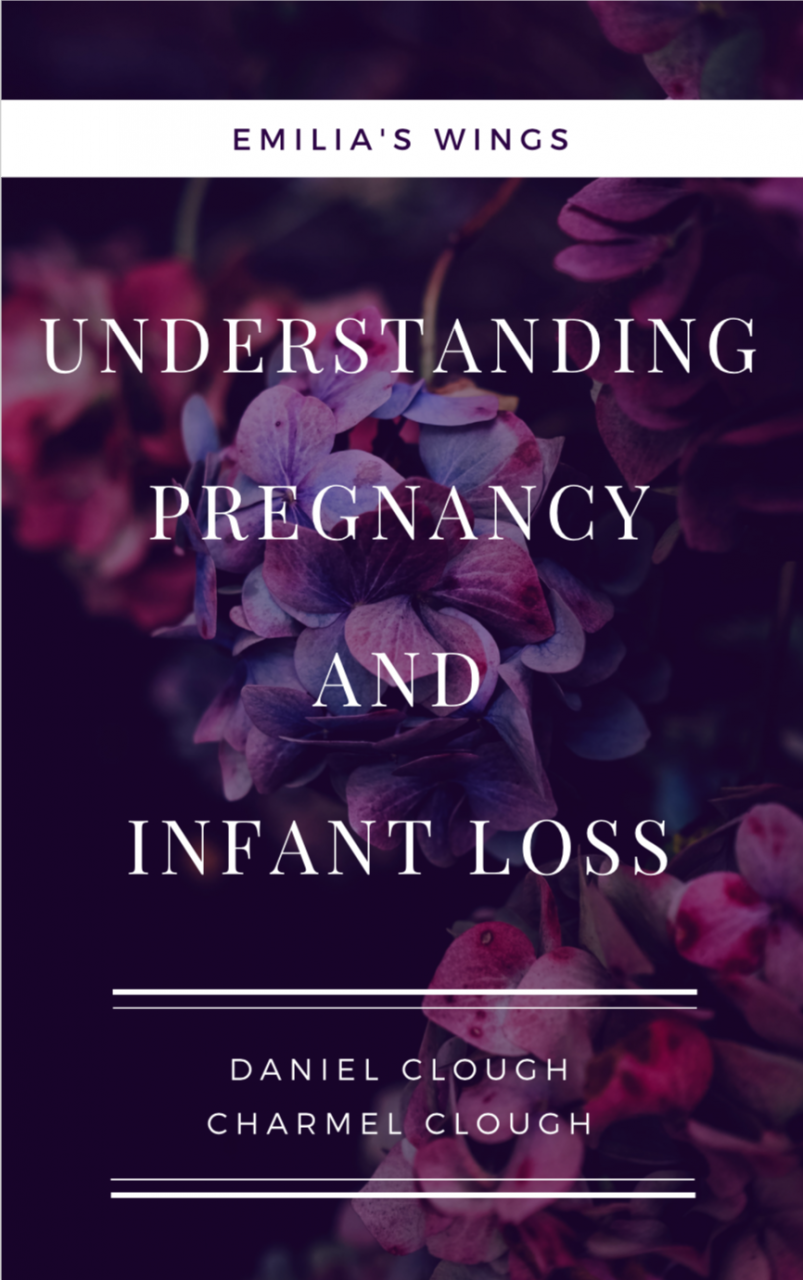 eBooks - Emilia's Wings - Understanding Pregnancy and Infant Loss - Kansas City Pregnancy and Infant Loss