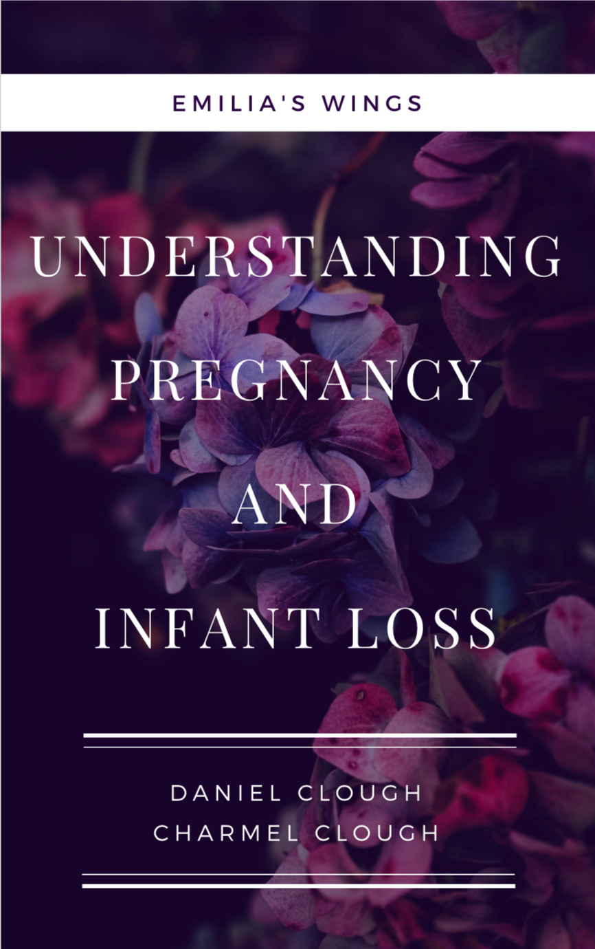 Understanding Pregnancy & Infant Loss by Daniel & Charmel Clough
